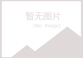 五大连池现实咨询有限公司